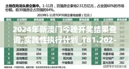 2024年新澳门今晚开奖结果查询,实践性执行计划_T81.202-8