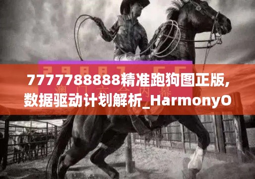 7777788888精准跑狗图正版,数据驱动计划解析_HarmonyOS11.189-5
