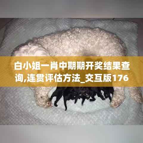白小姐一肖中期期开奖结果查询,连贯评估方法_交互版176.243-3