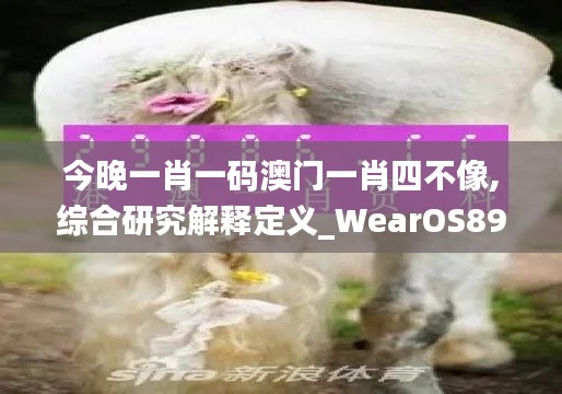 今晚一肖一码澳门一肖四不像,综合研究解释定义_WearOS89.462-2