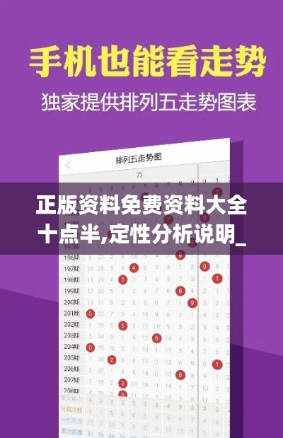 正版资料免费资料大全十点半,定性分析说明_高级款32.167-9