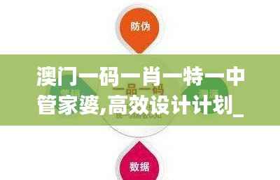 澳门一码一肖一特一中管家婆,高效设计计划_标配版28.380-8