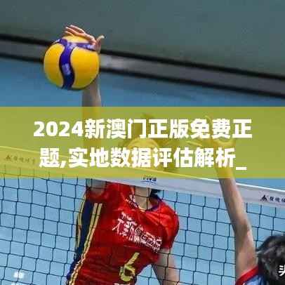 2024新澳门正版免费正题,实地数据评估解析_苹果版97.221-1