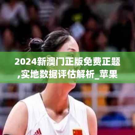 2024新澳门正版免费正题,实地数据评估解析_苹果版97.221-1