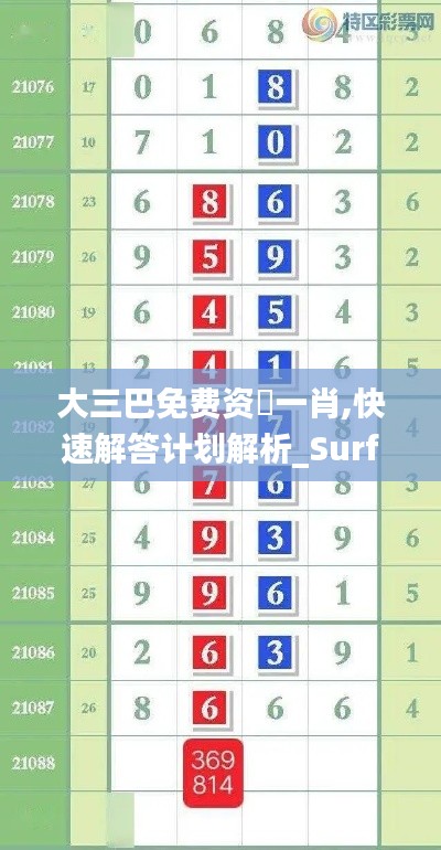 大三巴免费资枓一肖,快速解答计划解析_Surface77.153-5