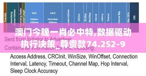 澳门今晚一肖必中特,数据驱动执行决策_尊贵款74.252-9