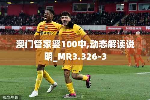 澳门管家婆100中,动态解读说明_MR3.326-3