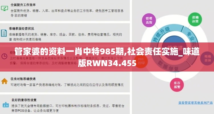 管家婆的资料一肖中特985期,社会责任实施_味道版RWN34.455