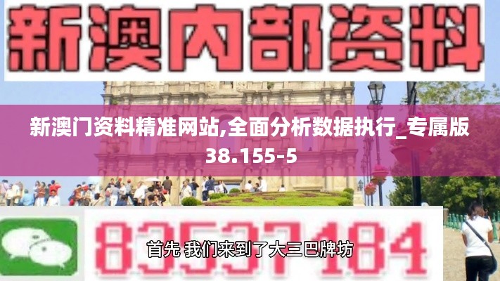 新澳门资料精准网站,全面分析数据执行_专属版38.155-5