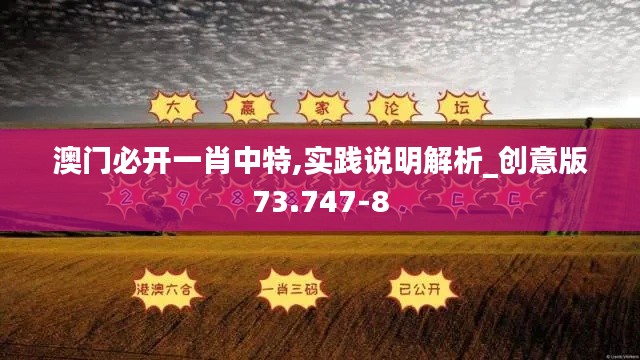澳门必开一肖中特,实践说明解析_创意版73.747-8
