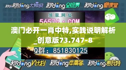澳门必开一肖中特,实践说明解析_创意版73.747-8