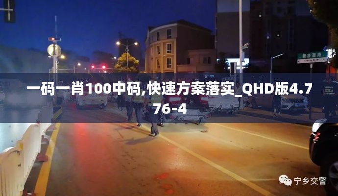 一码一肖100中码,快速方案落实_QHD版4.776-4