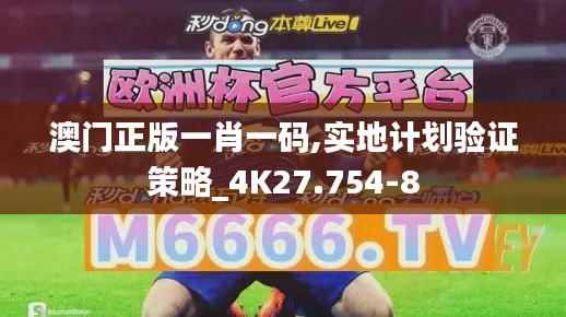 澳门正版一肖一码,实地计划验证策略_4K27.754-8