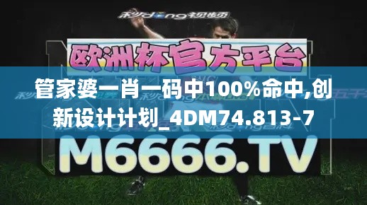 管家婆一肖一码中100%命中,创新设计计划_4DM74.813-7