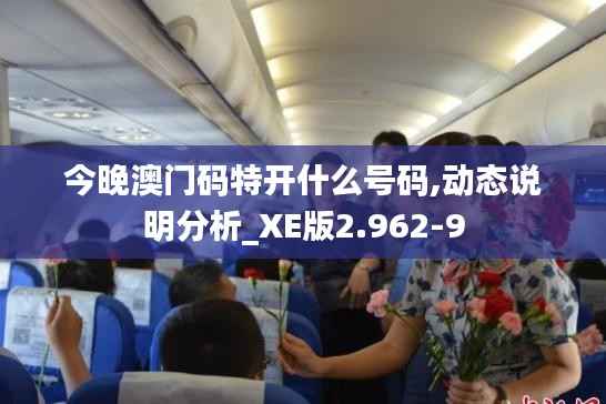 今晚澳门码特开什么号码,动态说明分析_XE版2.962-9