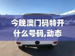 今晚澳门码特开什么号码,动态说明分析_XE版2.962-9