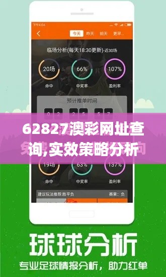 62827澳彩网址查询,实效策略分析_视频版74.145-5