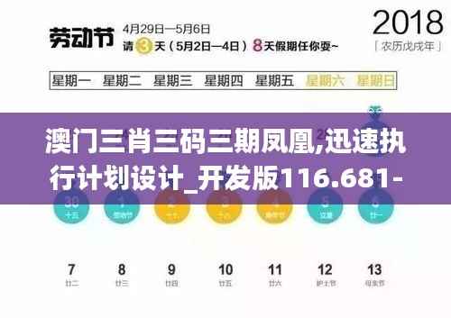 澳门三肖三码三期凤凰,迅速执行计划设计_开发版116.681-7