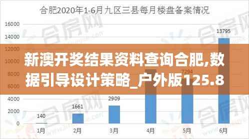 新澳开奖结果资料查询合肥,数据引导设计策略_户外版125.857-2