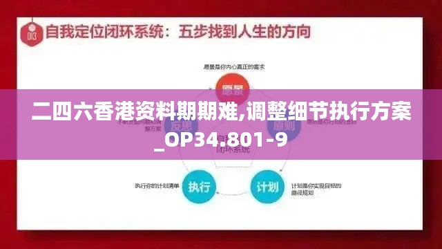 二四六香港资料期期难,调整细节执行方案_OP34.801-9
