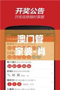 澳门管家婆-肖一码,仿真实现技术_VIP70.152-7