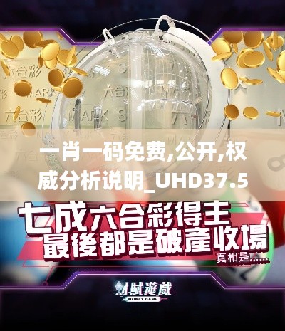 一肖一码免费,公开,权威分析说明_UHD37.543-4