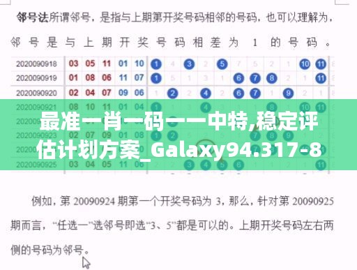 最准一肖一码一一中特,稳定评估计划方案_Galaxy94.317-8