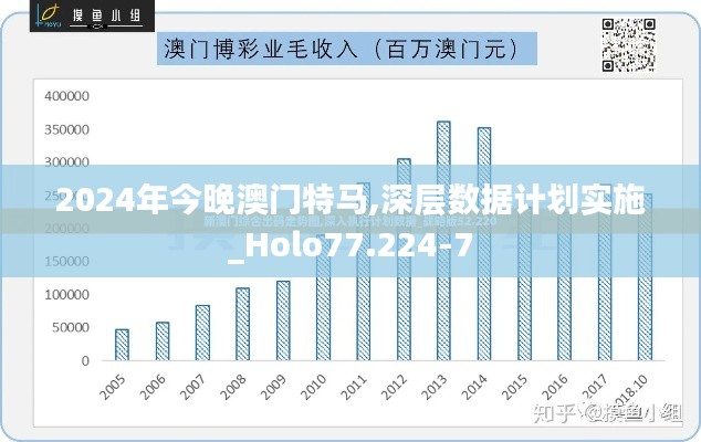 2024年今晚澳门特马,深层数据计划实施_Holo77.224-7