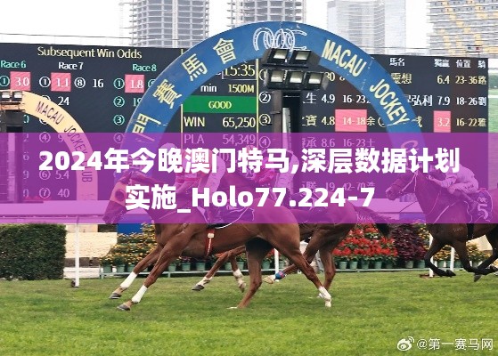 2024年今晚澳门特马,深层数据计划实施_Holo77.224-7