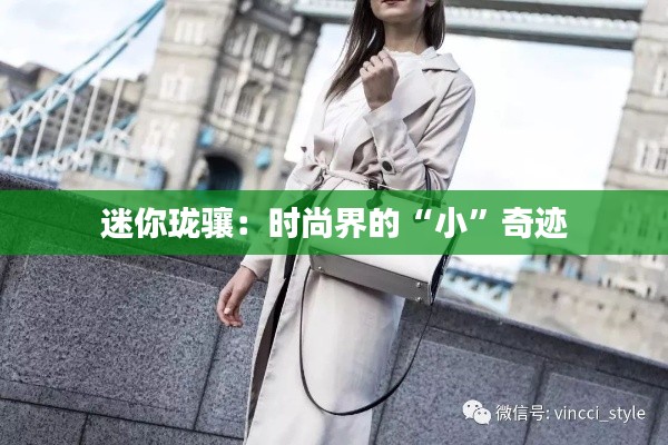 迷你珑骧:时尚界的“小”奇迹