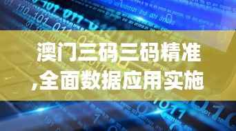 澳门三码三码精准,全面数据应用实施_铂金版86.743-1