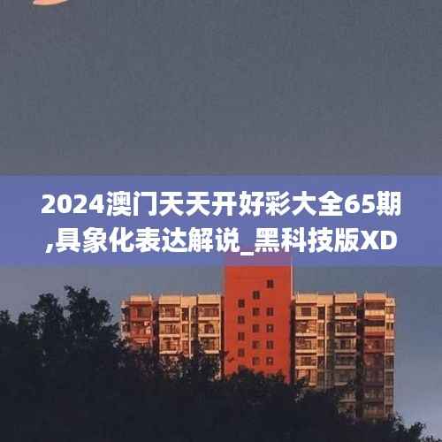 2024澳门天天开好彩大全65期,具象化表达解说_黑科技版XDB87.692