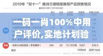 一码一肖100%中用户评价,实地计划验证数据_WP版44.802-6