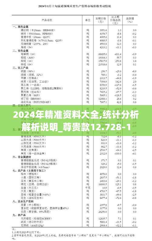 2024年精准资料大全,统计分析解析说明_尊贵款12.728-1