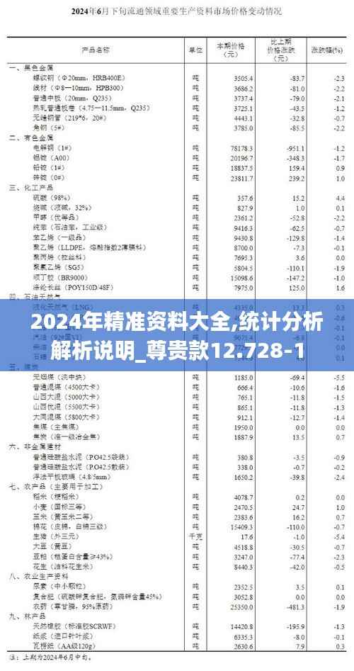 2024年精准资料大全,统计分析解析说明_尊贵款12.728-1