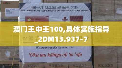 澳门王中王100,具体实施指导_2DM13.937-7