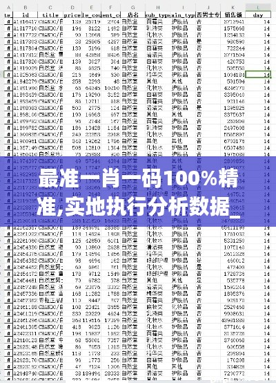 最准一肖一码100%精准,实地执行分析数据_T4.279-4