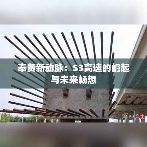奉贤新动脉:S3高速的崛起与未来畅想