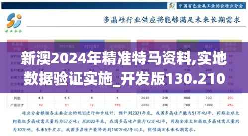 新澳2024年精准特马资料,实地数据验证实施_开发版130.210-4