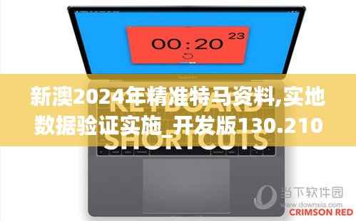 新澳2024年精准特马资料,实地数据验证实施_开发版130.210-4