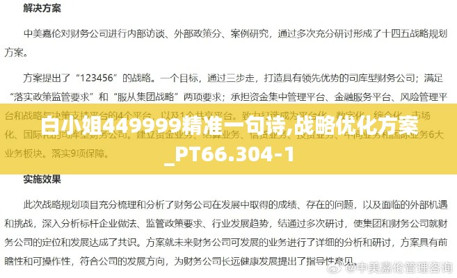 白小姐449999精准一句诗,战略优化方案_PT66.304-1