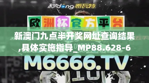 新澳门九点半开奖网址查询结果,具体实施指导_MP88.628-6
