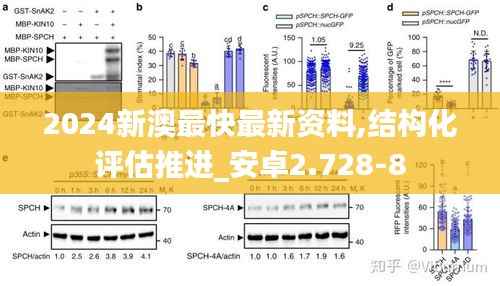 2024新澳最快最新资料,结构化评估推进_安卓2.728-8