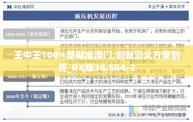 王中王100%期期准澳门,创新定义方案剖析_RX版38.564-2