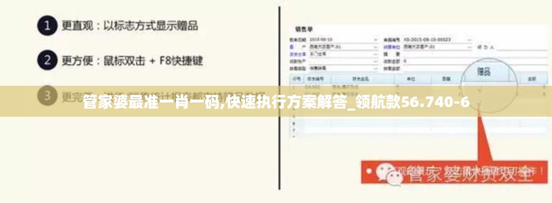 管家婆最准一肖一码,快速执行方案解答_领航款56.740-6