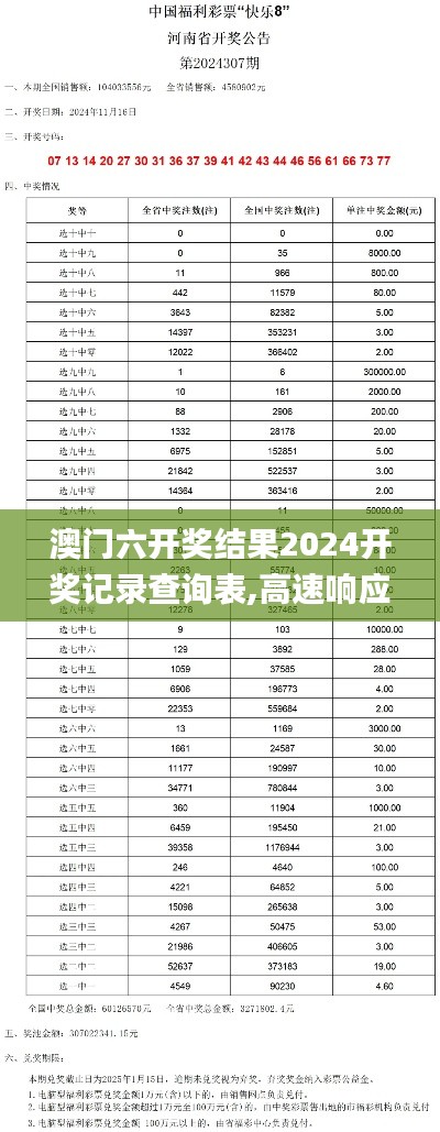 澳门六开奖结果2024开奖记录查询表,高速响应执行计划_特供版194.285-4