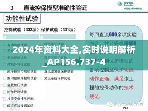 2024年资料大全,实时说明解析_AP156.737-4
