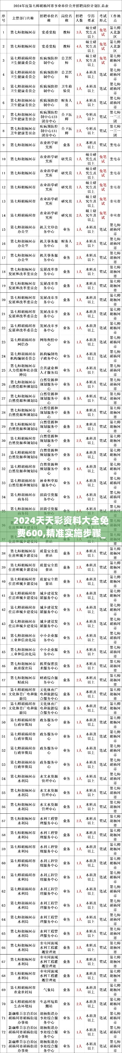 2024天天彩资料大全免费600,精准实施步骤_Lite20.744-1