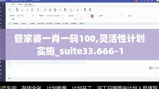 管家婆一肖一码100,灵活性计划实施_suite33.666-1