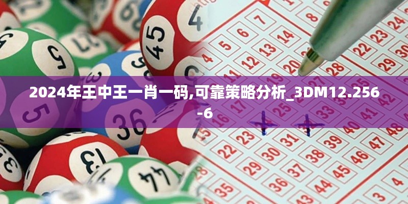 2024年王中王一肖一码,可靠策略分析_3DM12.256-6